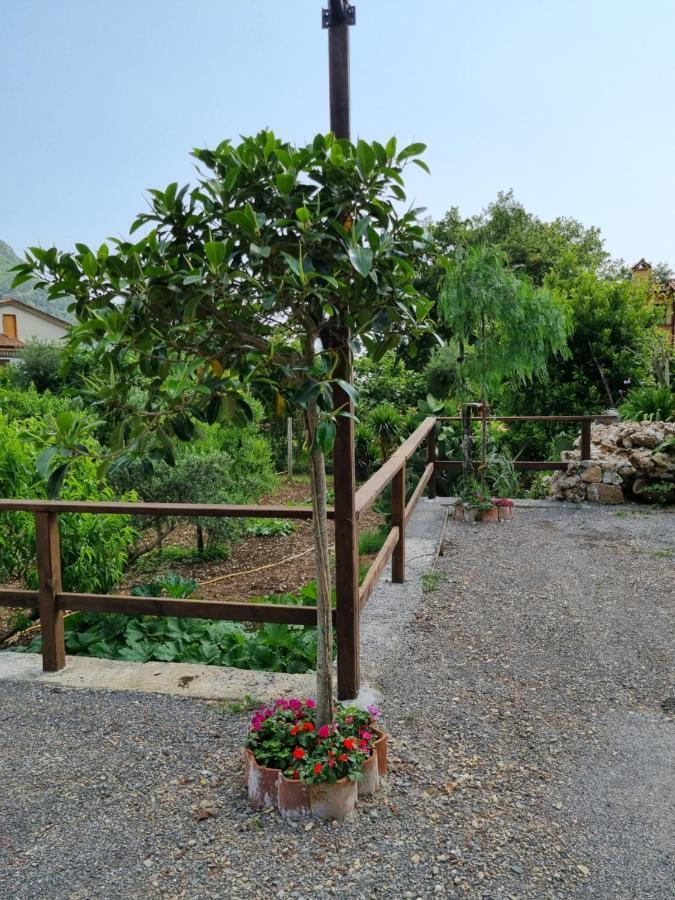 Il Ruscello Bed & Breakfast Maratea Exterior foto