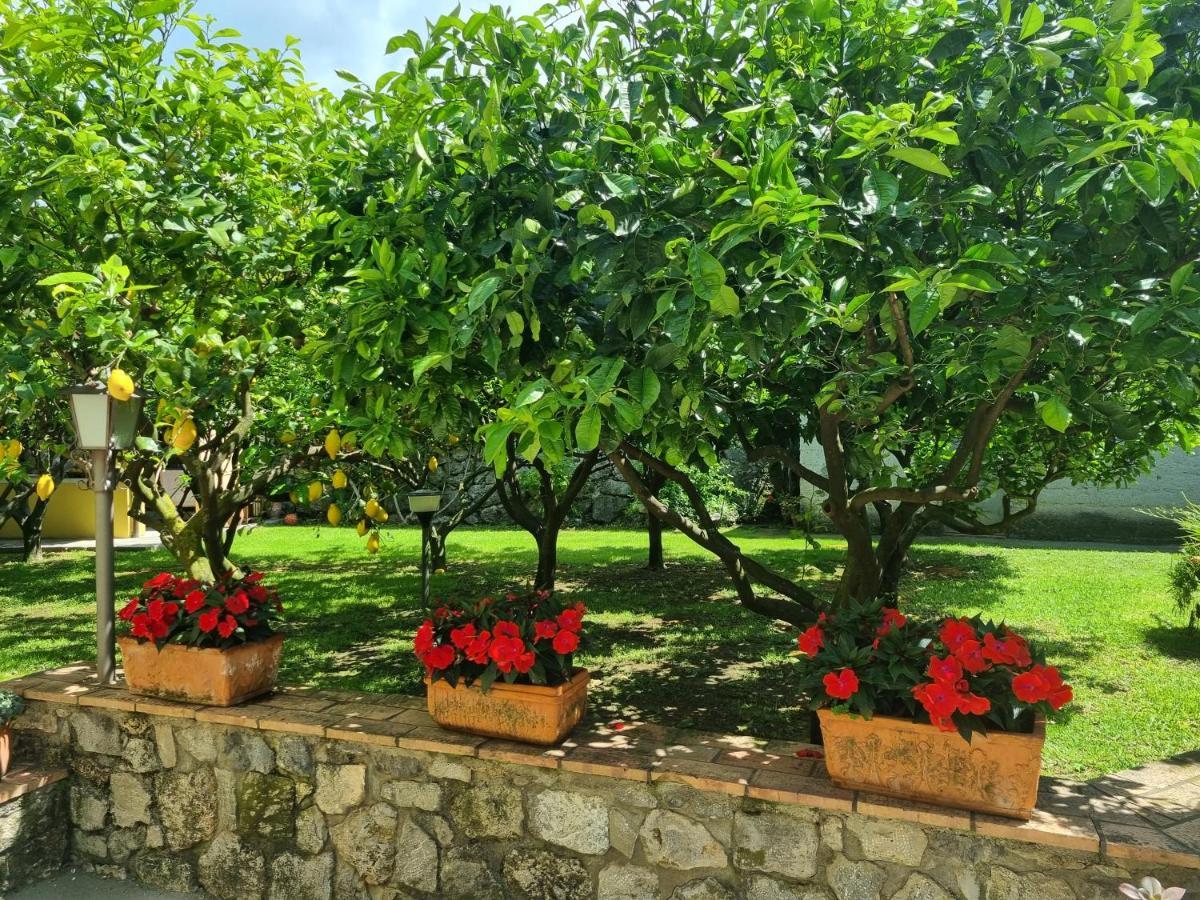 Il Ruscello Bed & Breakfast Maratea Exterior foto