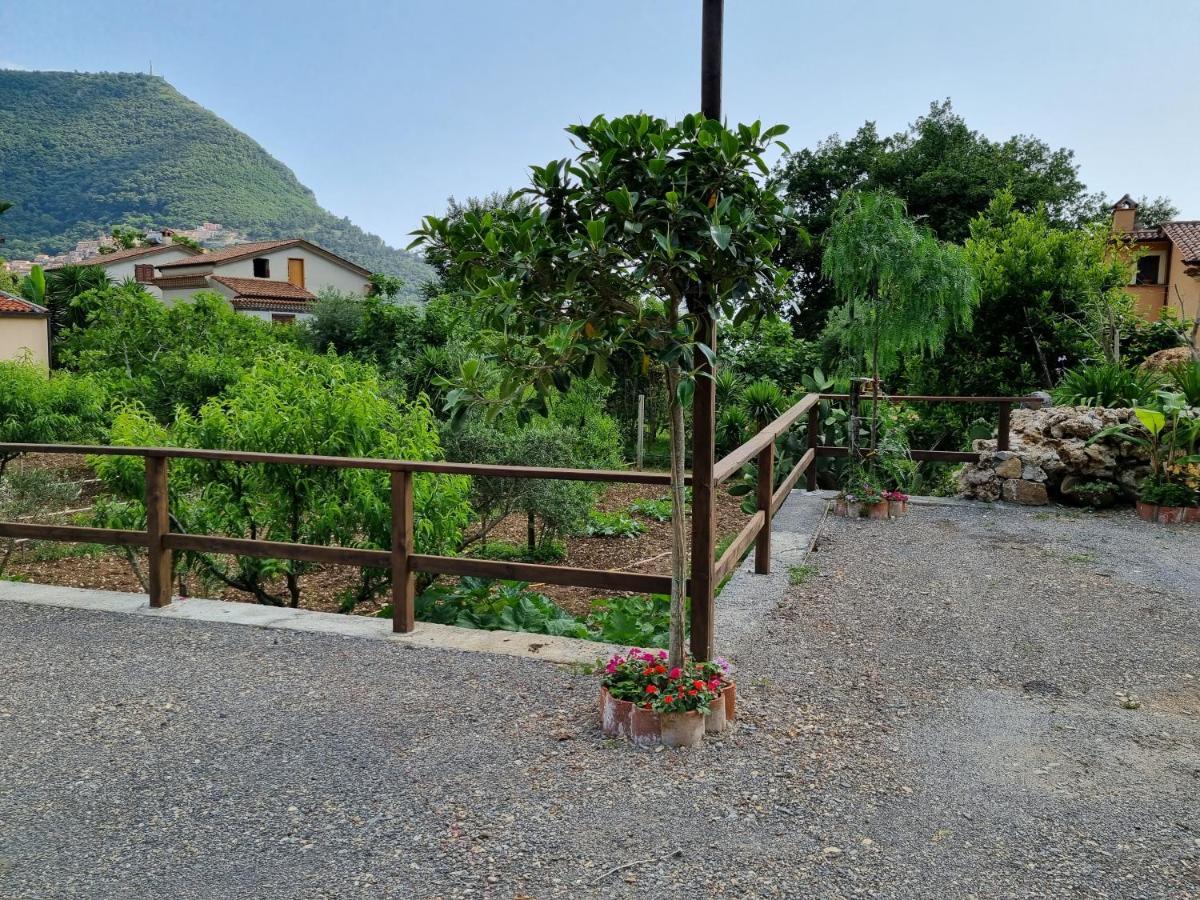 Il Ruscello Bed & Breakfast Maratea Exterior foto