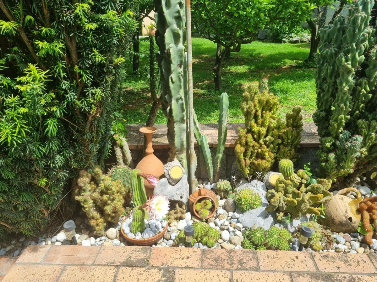 Il Ruscello Bed & Breakfast Maratea Exterior foto