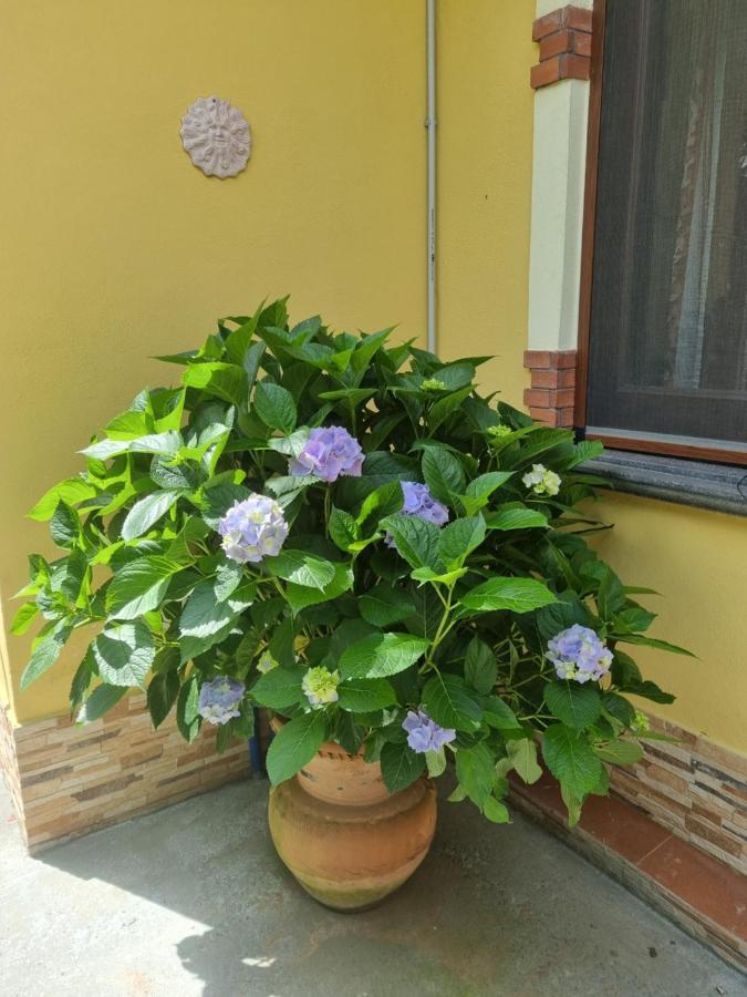 Il Ruscello Bed & Breakfast Maratea Exterior foto