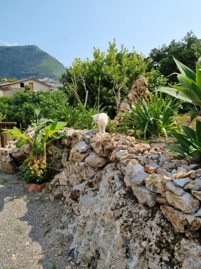 Il Ruscello Bed & Breakfast Maratea Exterior foto