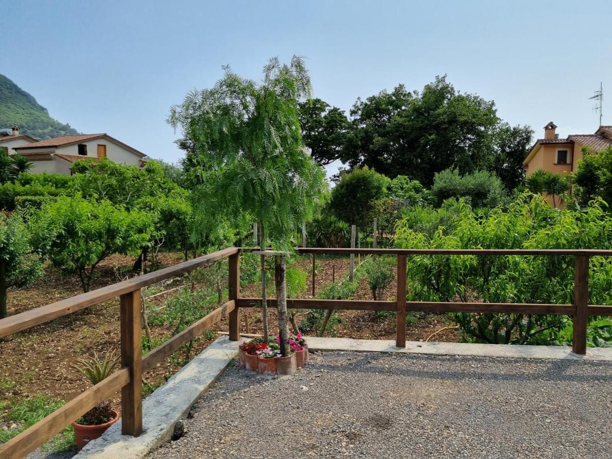 Il Ruscello Bed & Breakfast Maratea Exterior foto