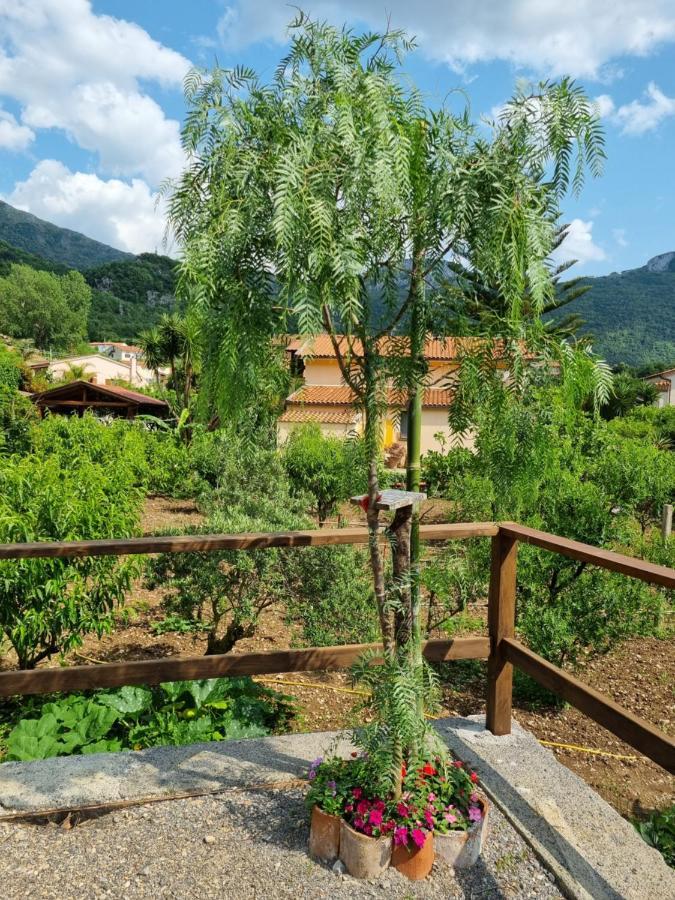 Il Ruscello Bed & Breakfast Maratea Exterior foto